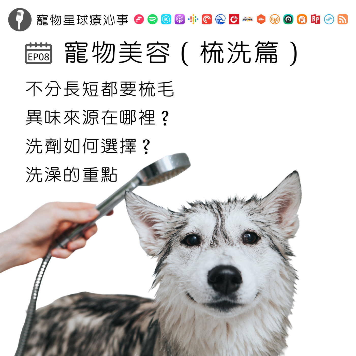 EP08.寵物美容(梳洗篇)