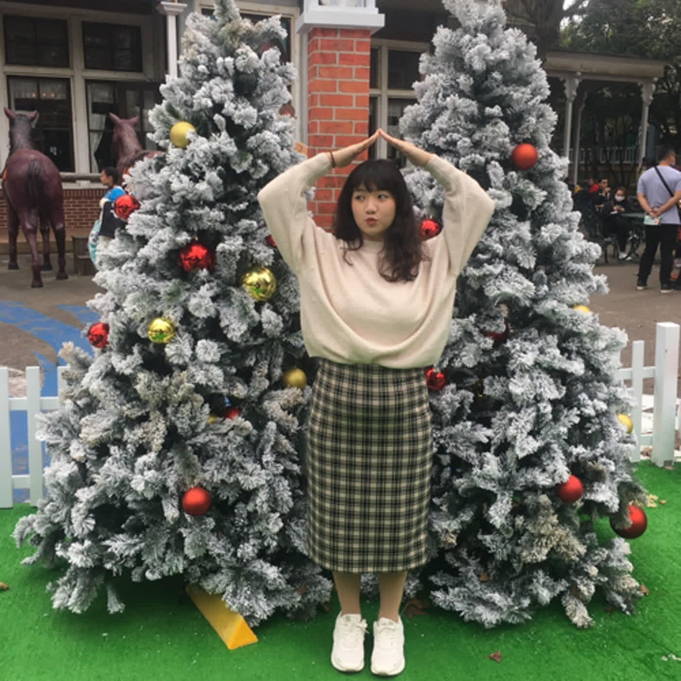 窩是什麼東西