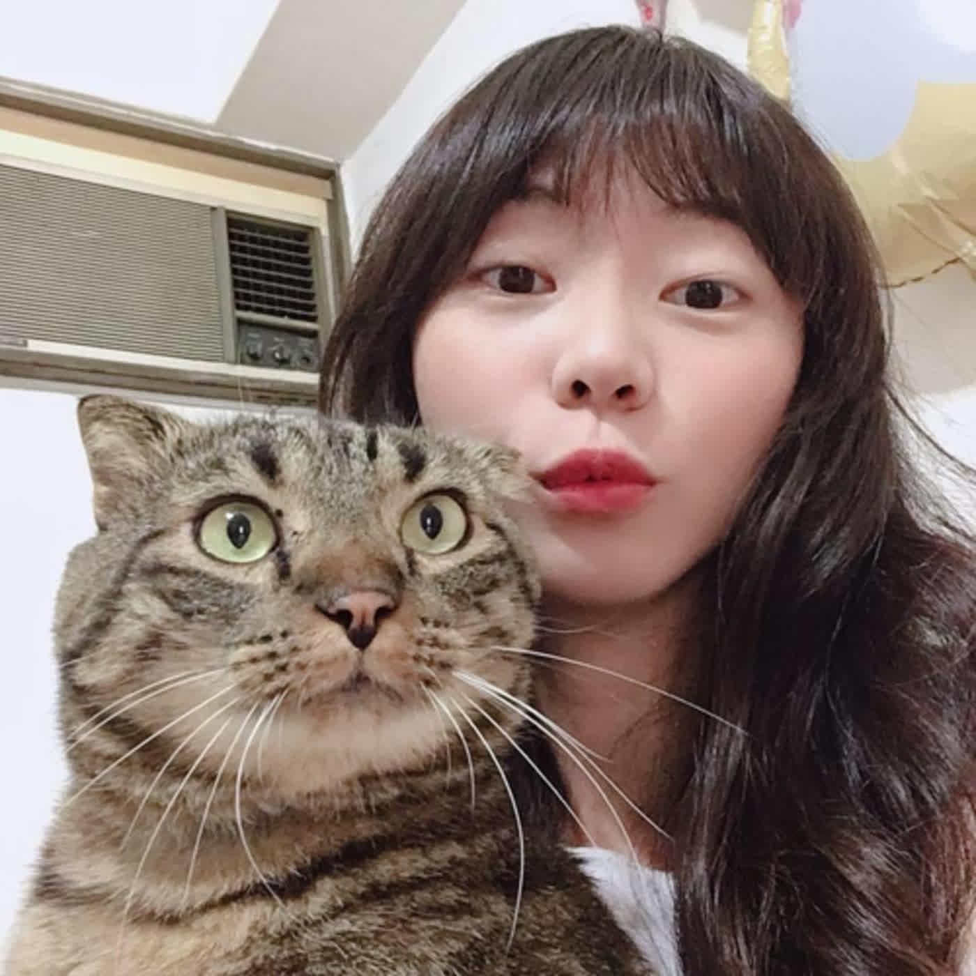 窩是什麼東西