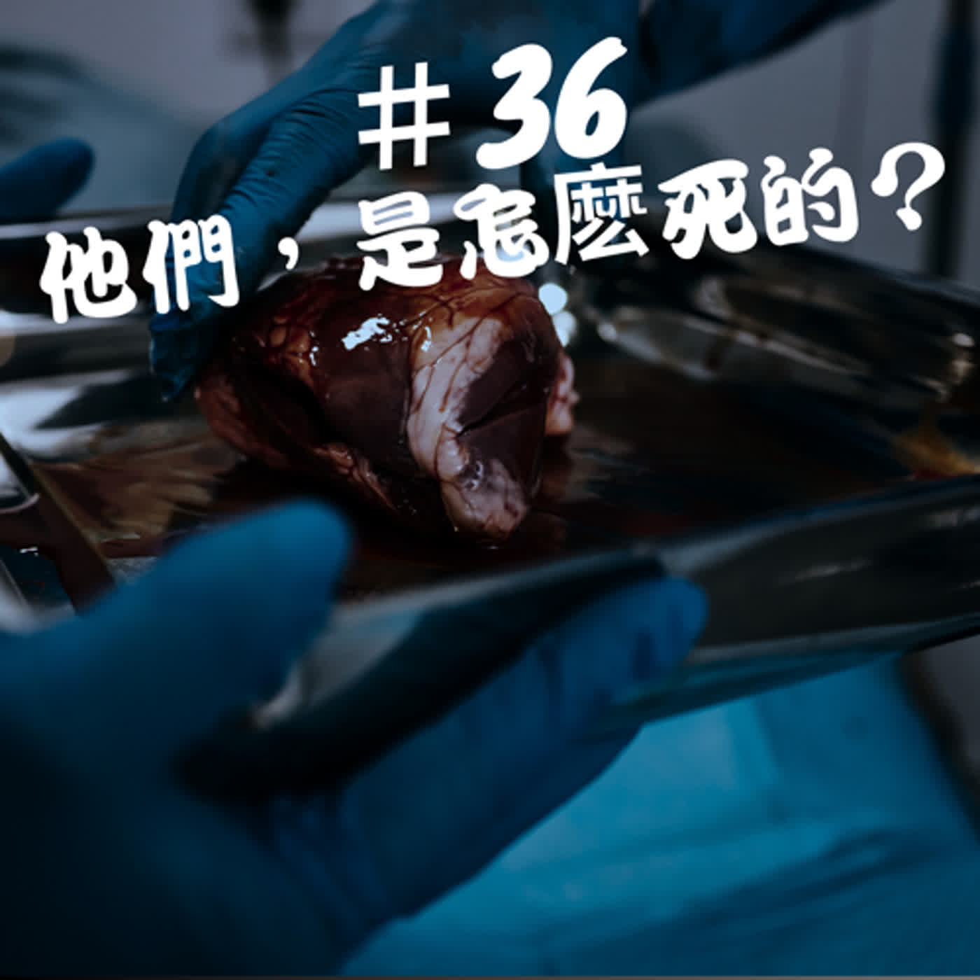 ep36懸案檔案--他們，是怎麼死的？