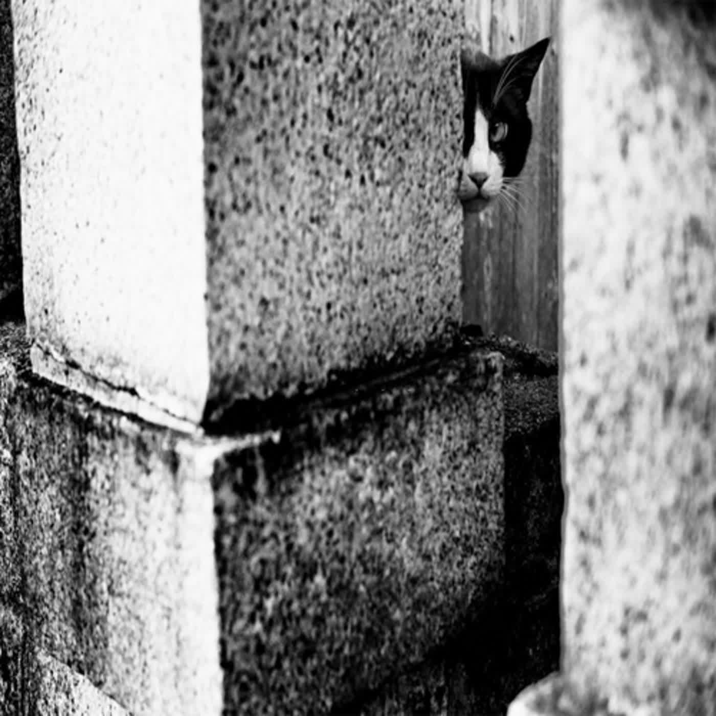 EP34｜日本怪談｜不要找到我喔、深夜的海岸邊【不聽不可】