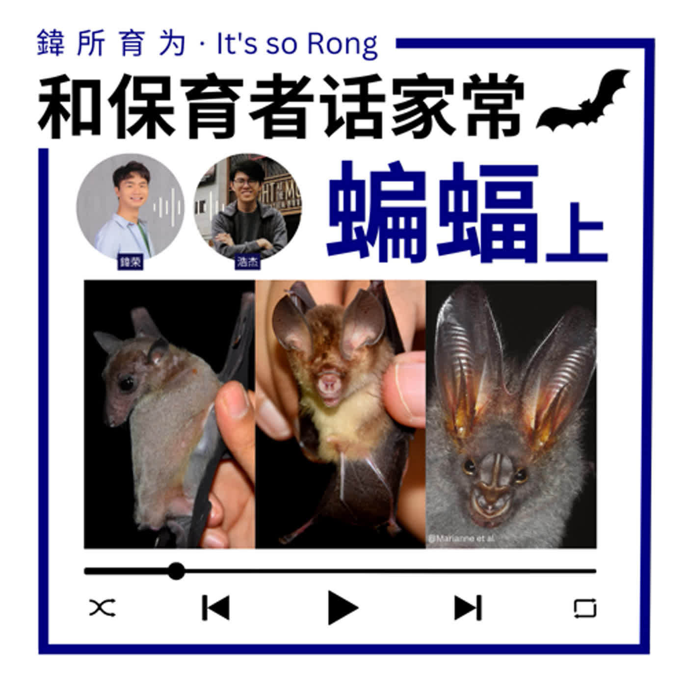 EP1：马来西亚没有吸血蝙蝠？和前蝙蝠研究员话家常（上）