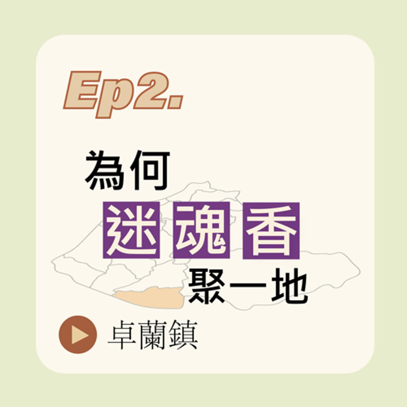 為何迷魂香聚一地