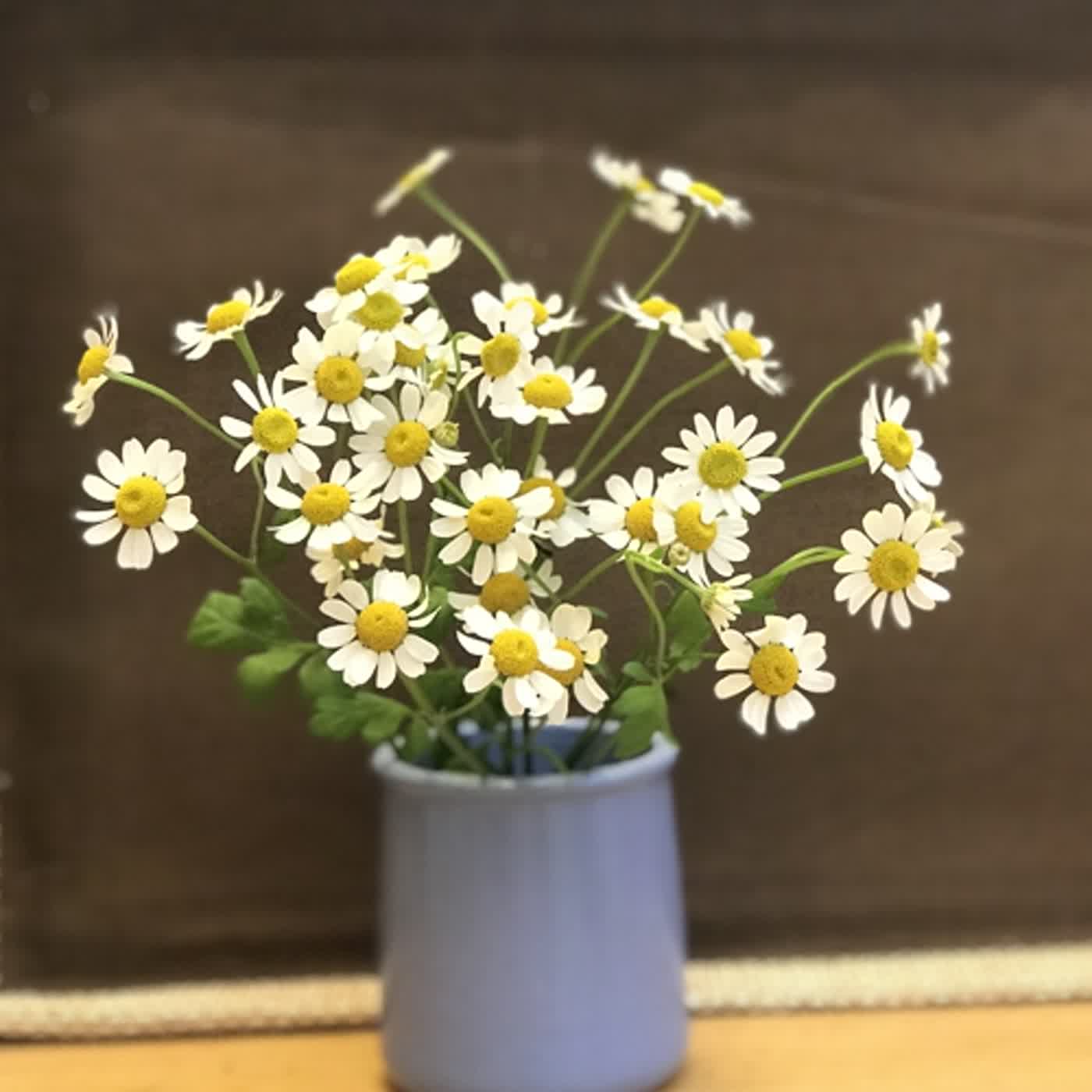 生活中醫，說給你聽