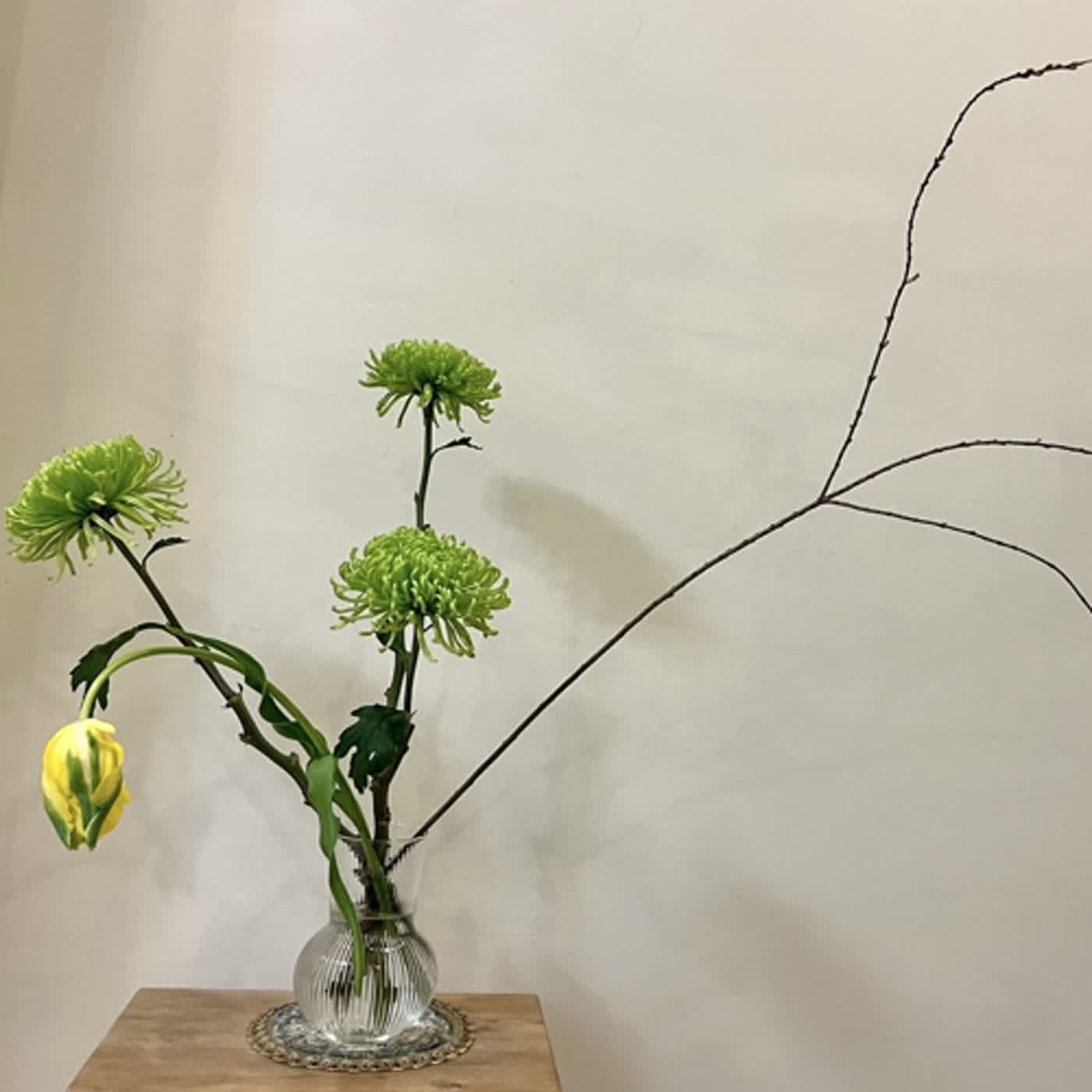 生活中醫，說給你聽