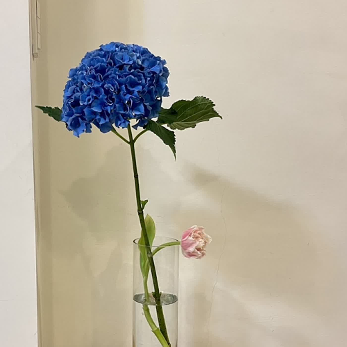 生活中醫，說給你聽