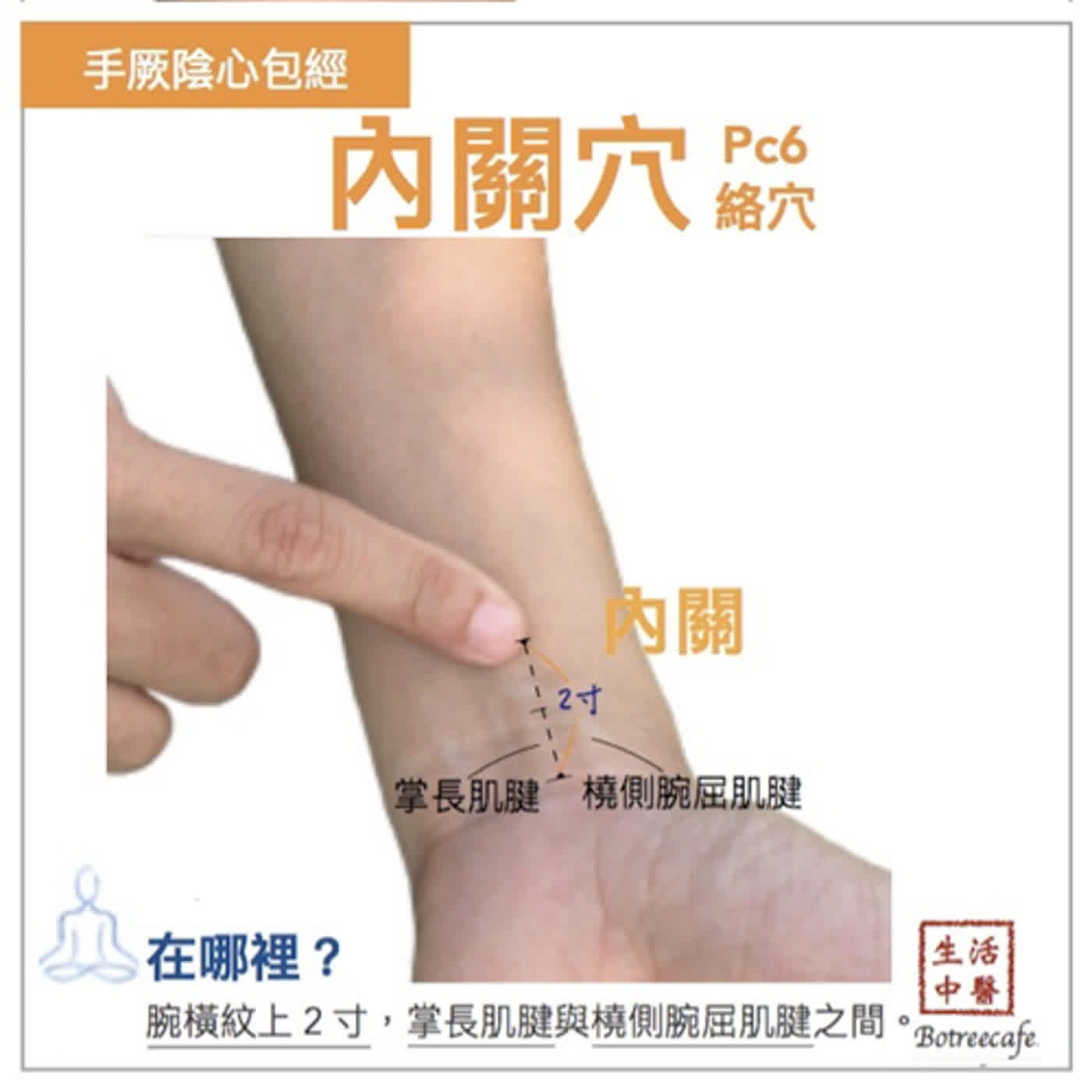 生活中醫，說給你聽
