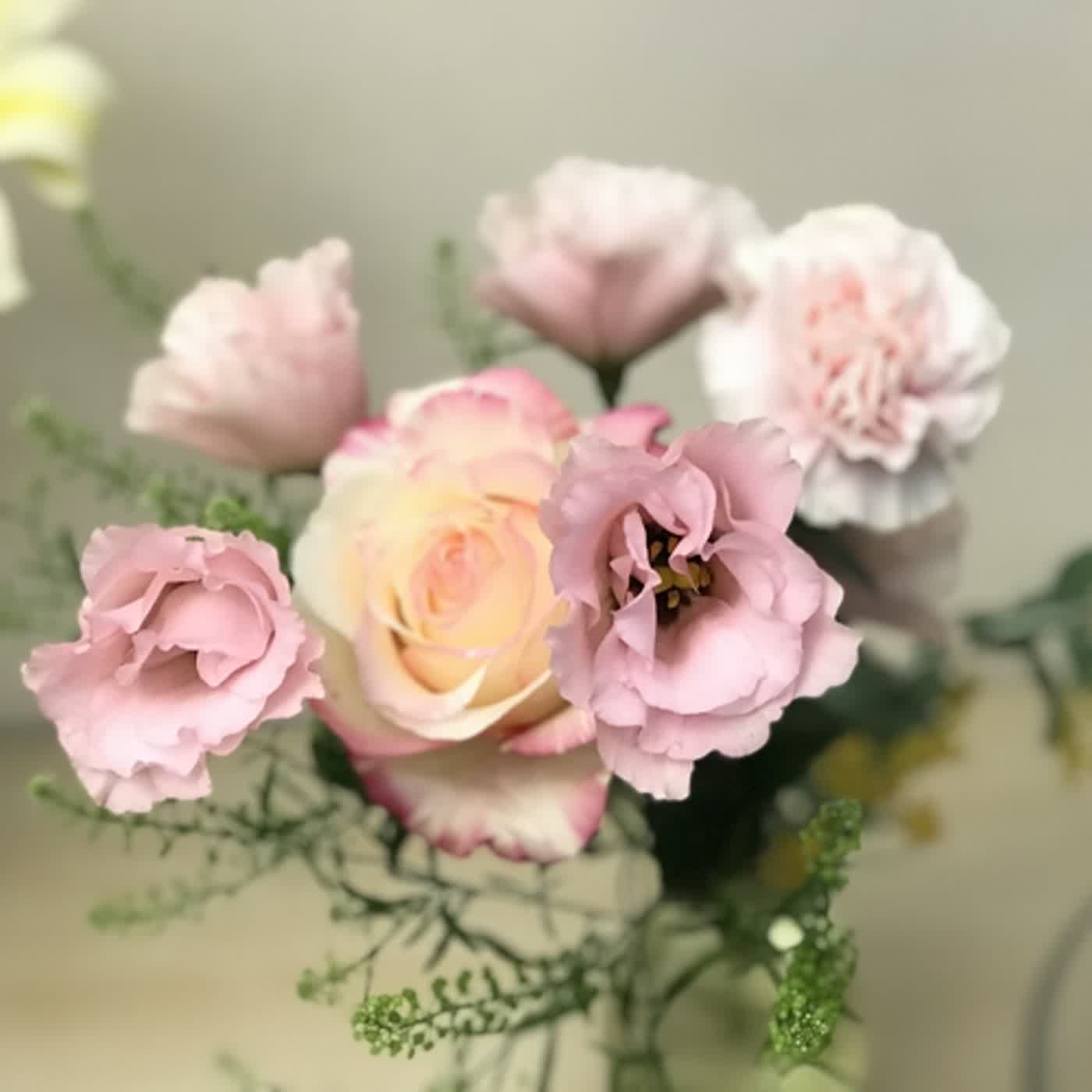 生活中醫，說給你聽