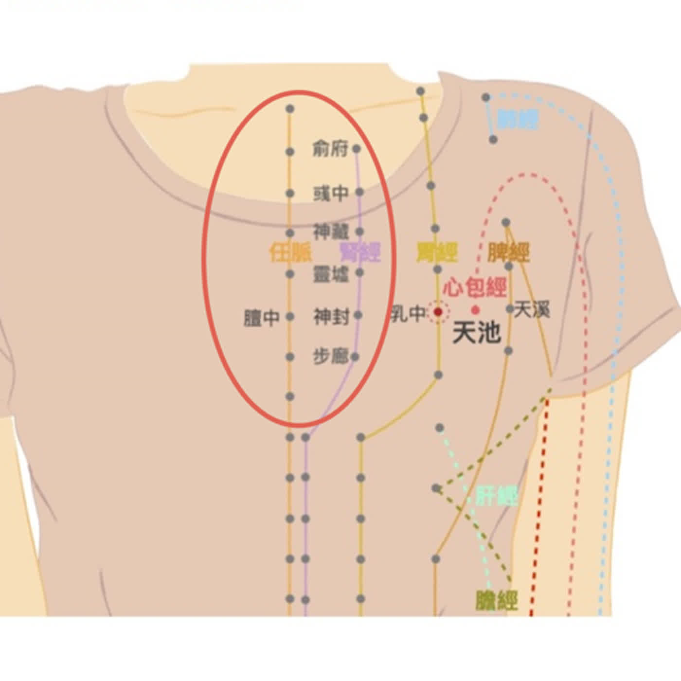 生活中醫，說給你聽