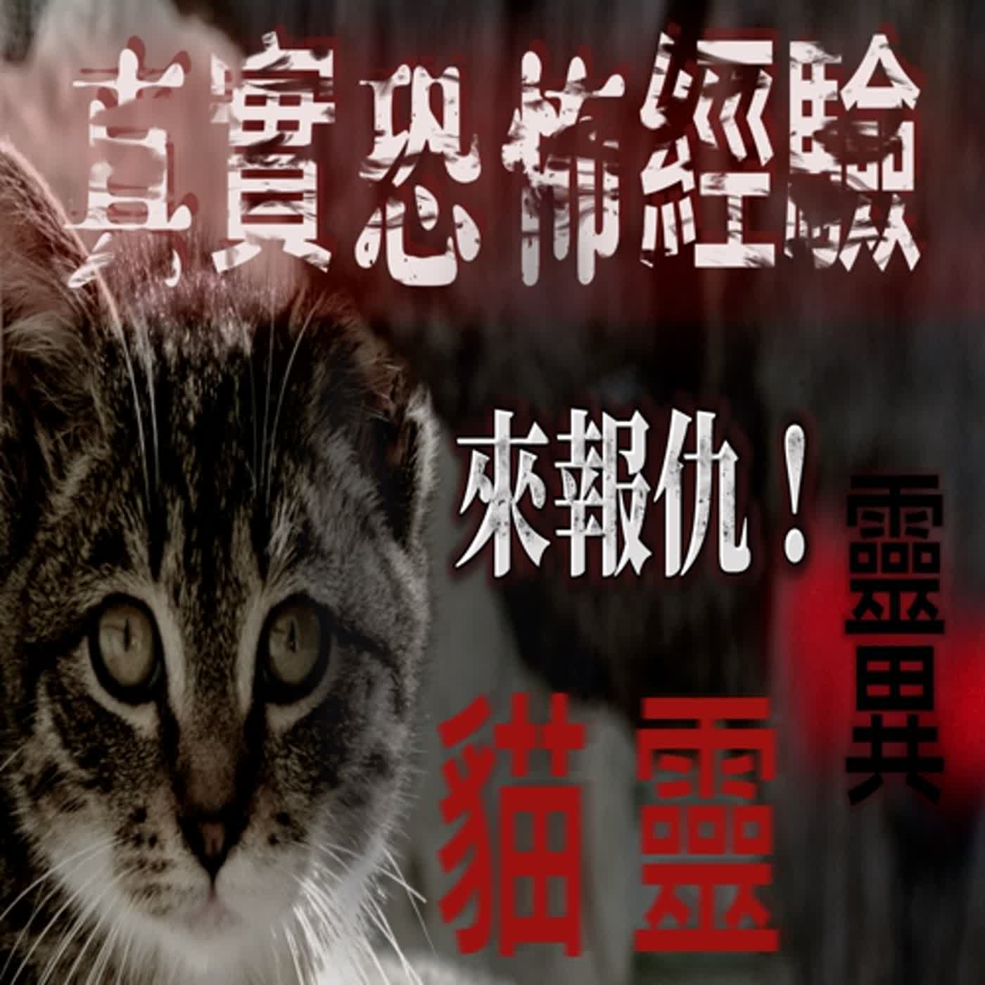 cover of episode 『真實的恐怖故事』親身經歷#37 恐怖故事｜ 不懂得尊重生命 任意殺害動物的下場