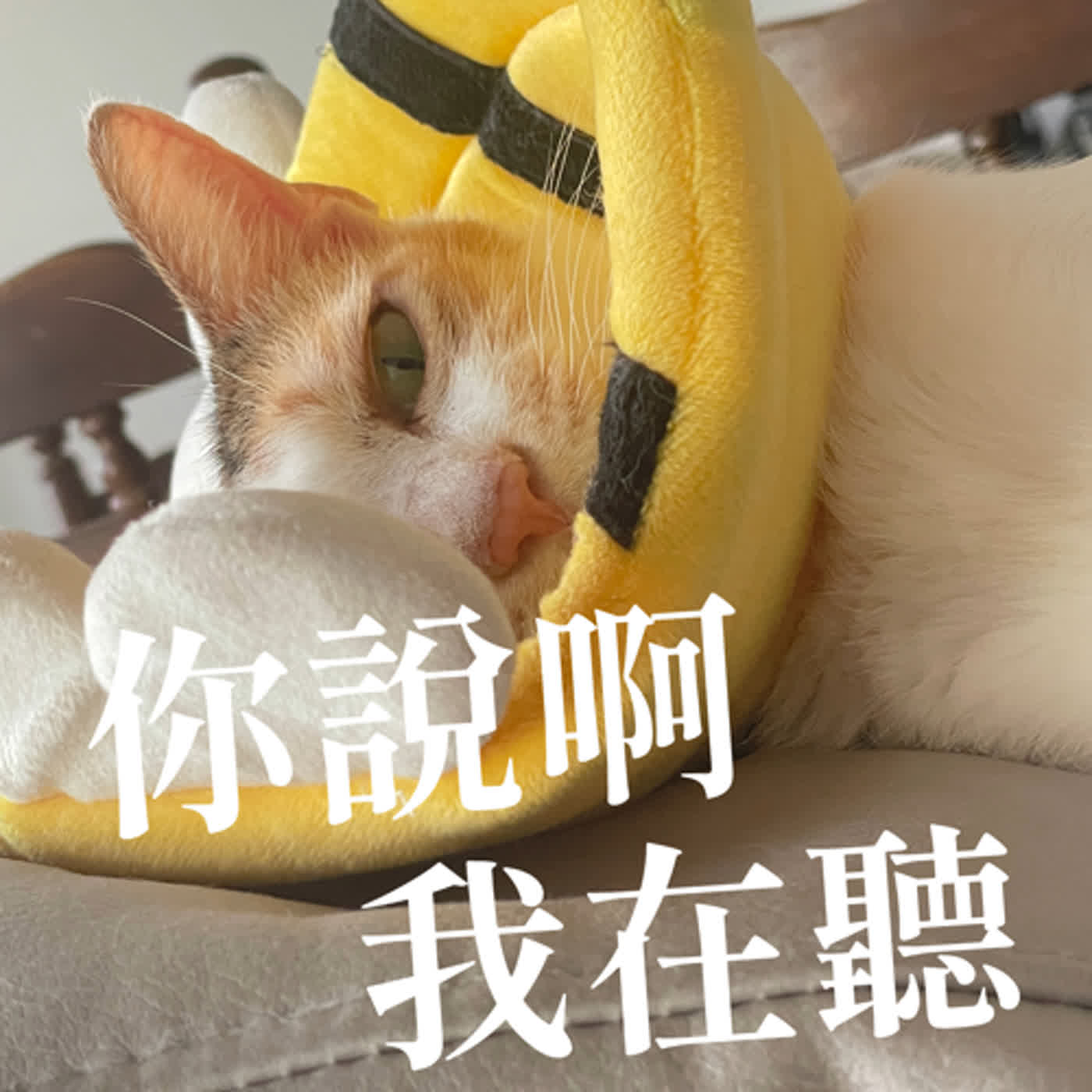 交友軟體上聽到直接乾掉 #土味情話強勢回歸