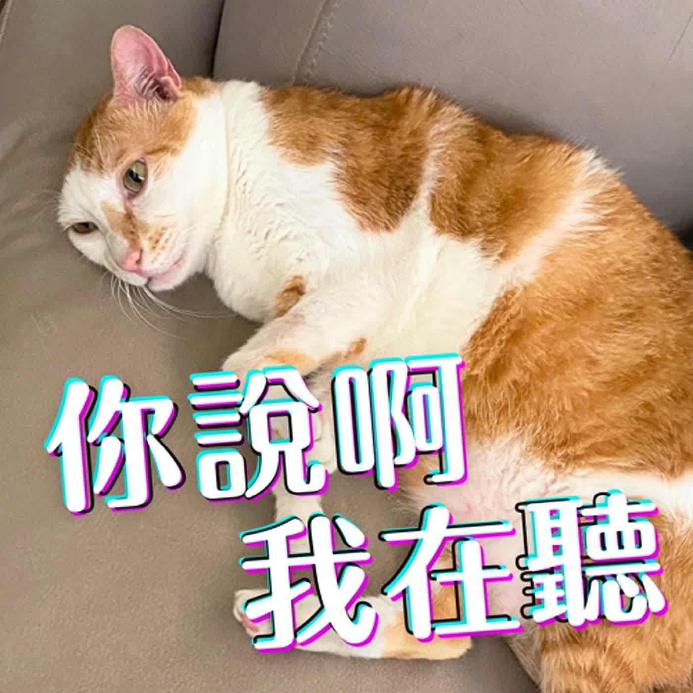 紫微，我一直都把妳當成我的妻子 #渣男語錄