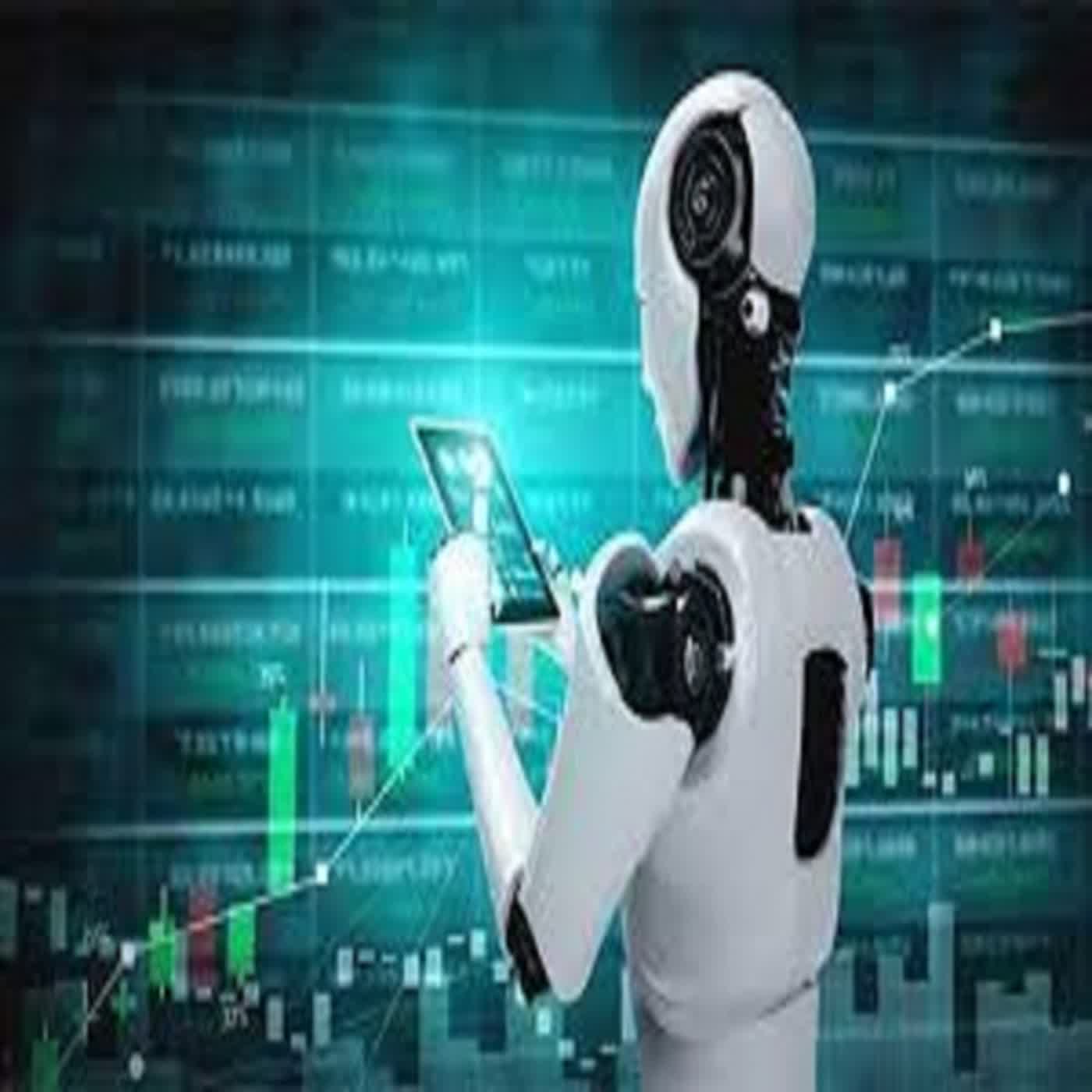 Mustafa Raja Forex