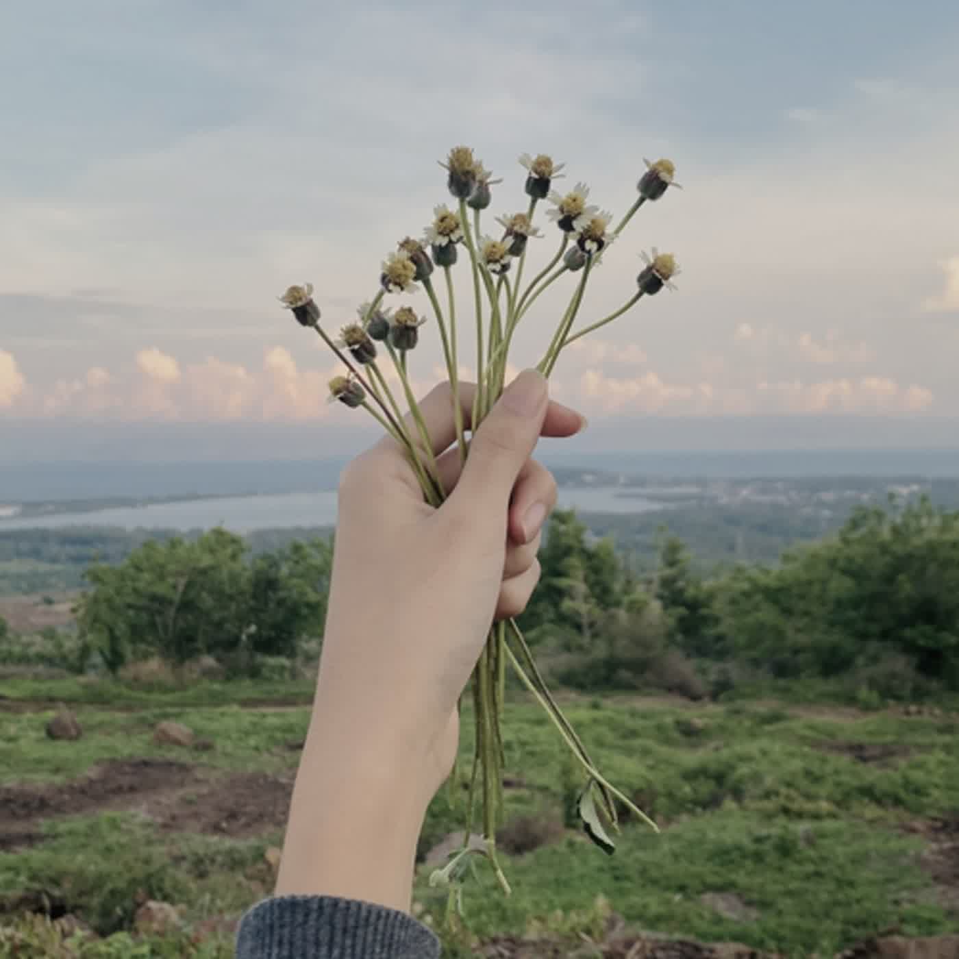 Si Tukang Cerita | Erdinsyah Mahendra