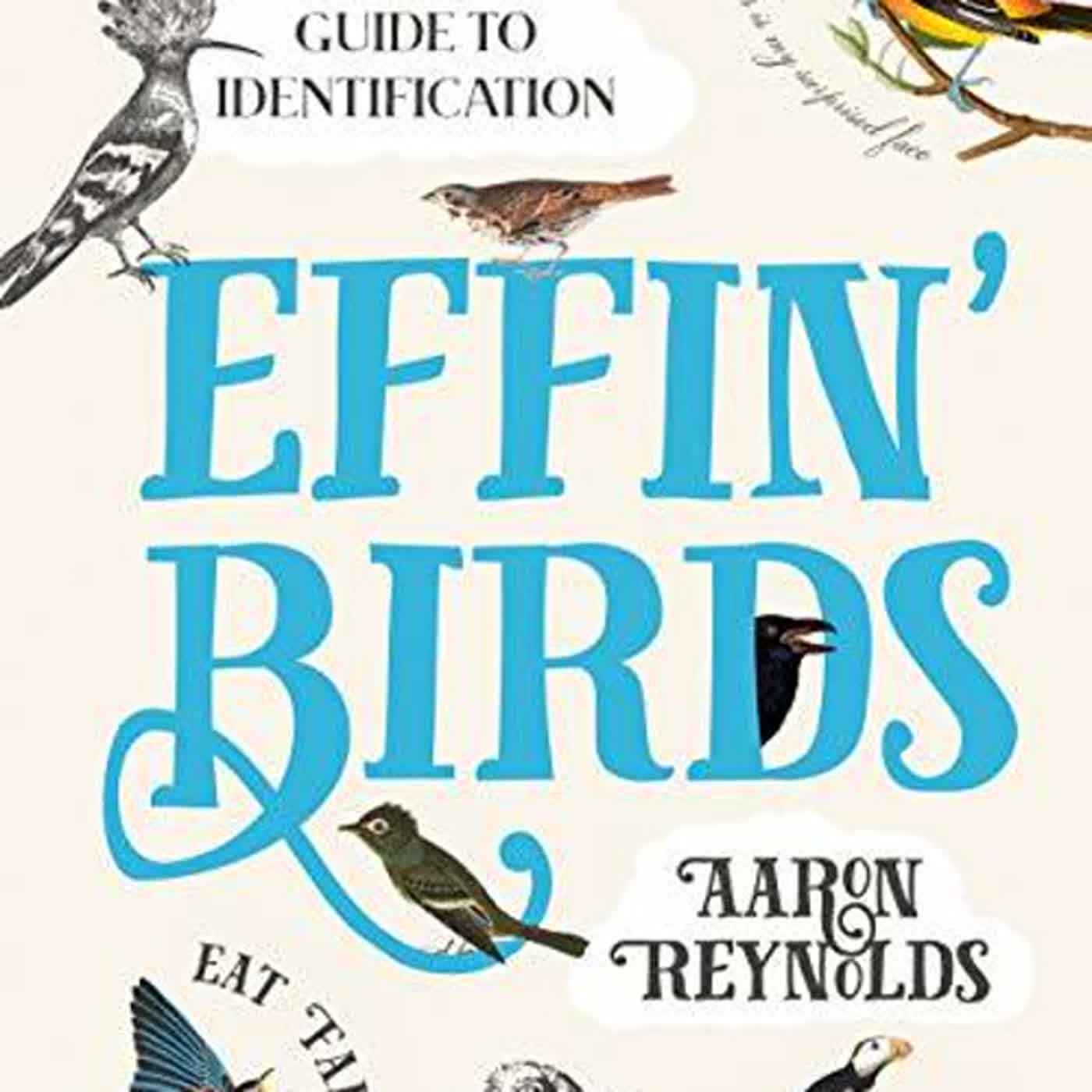 download [PDF] Effin' Birds: A Field Guide to Identification by Aaron Reynolds thumbnail