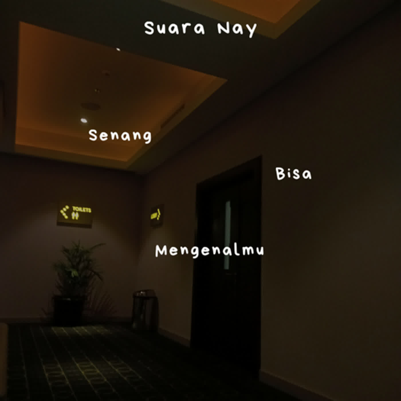 Suara Nay