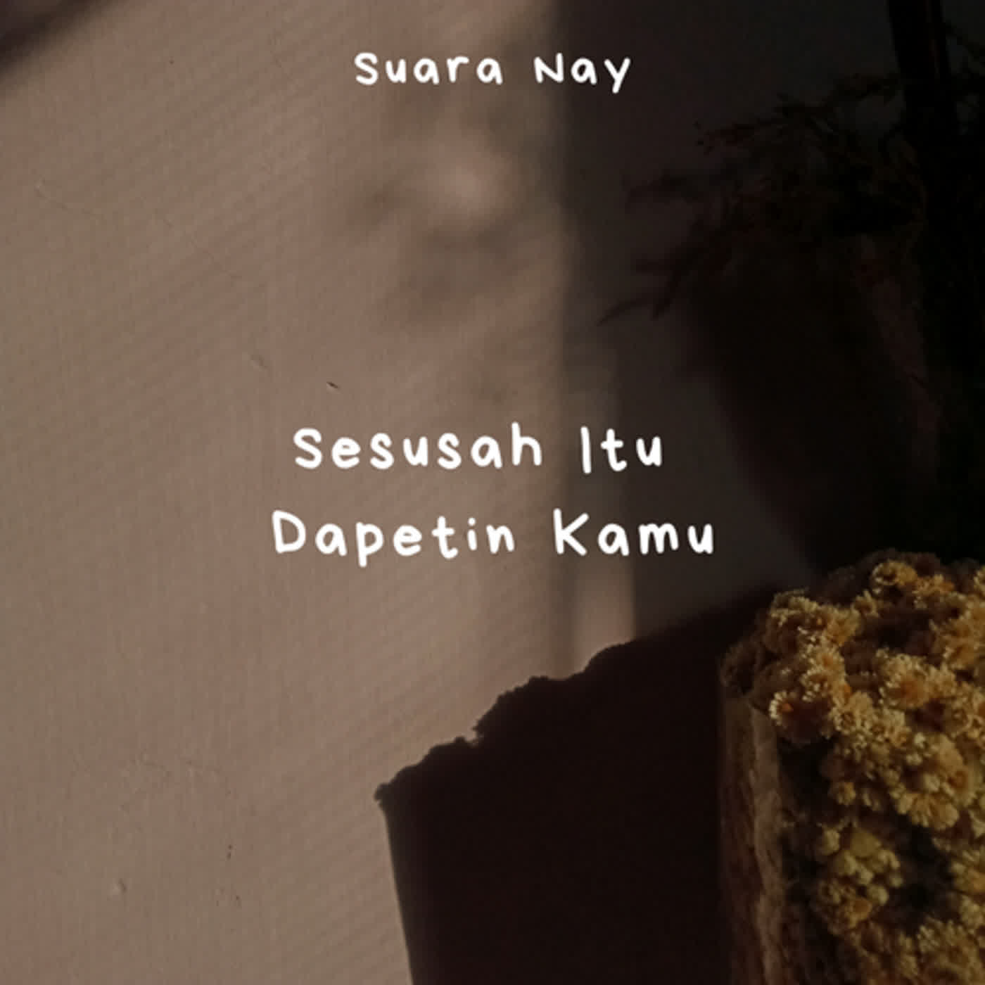Suara Nay