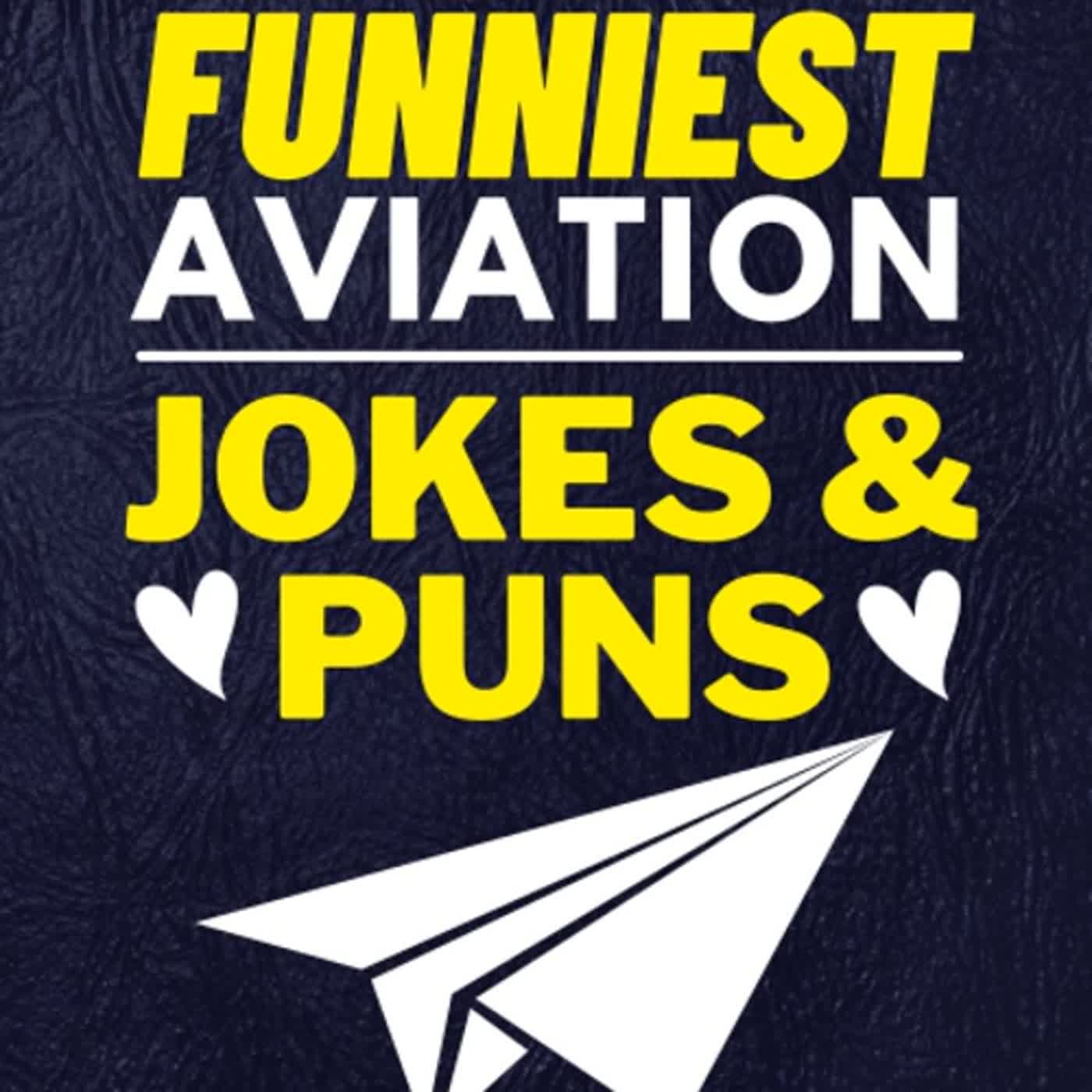 ⚡PDF KINDLE DOWNLOAD⭐ The 100 Funniest Aviation Jokes And Puns Book A
