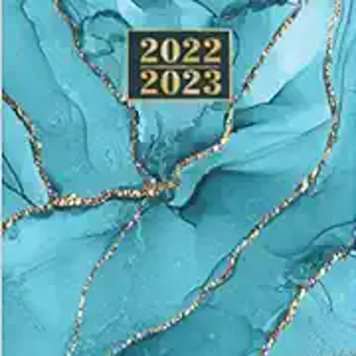 pdf-ebooks-2022-2023-blue-agate-2-year-pocket-planner-24-month